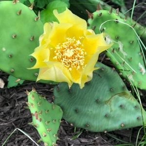 Meet your Posher, Cory